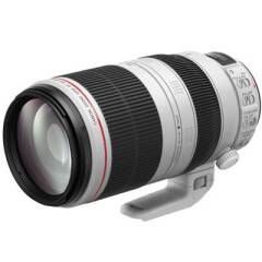 Canon EF 100-400mm f/4.5-5.6L IS