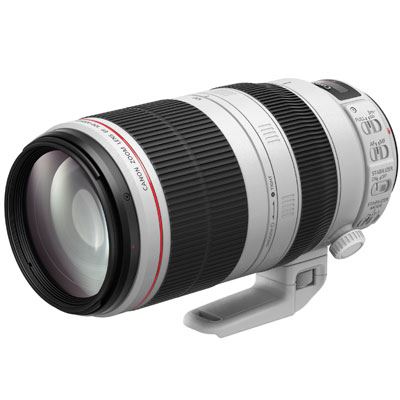 Canon EF 100-400mm f/4.5-5.6L IS Image