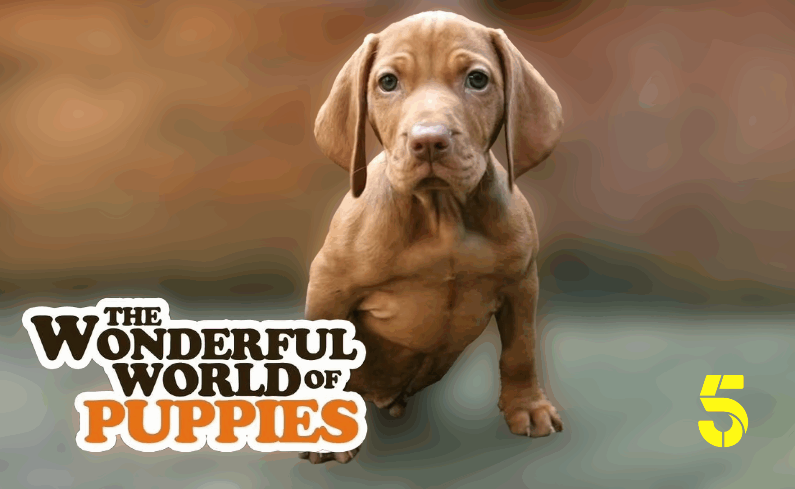 The Wonderful World of Puppies